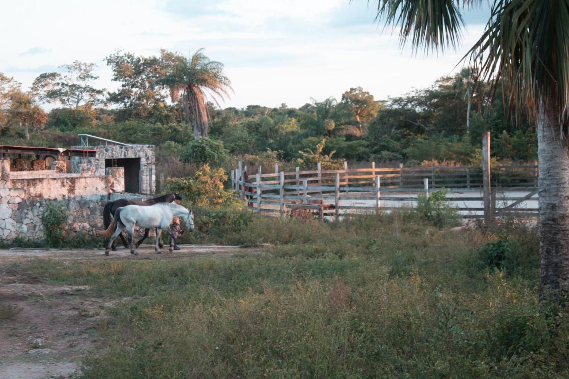 Вилла Casitas At Rancho Kuxtal Тисимин Экстерьер фото